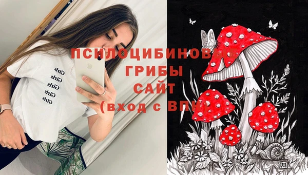 PSILOCYBIN Алексеевка