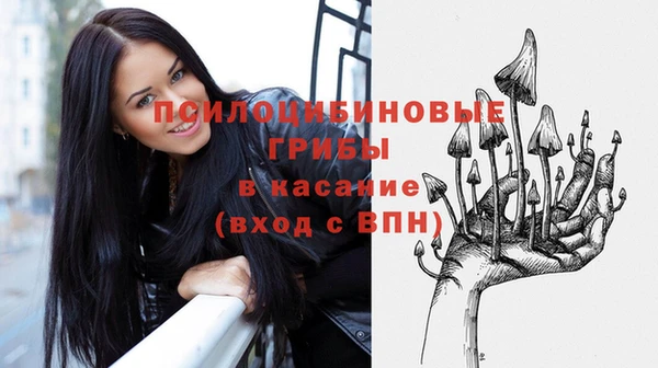 сатива Алексин